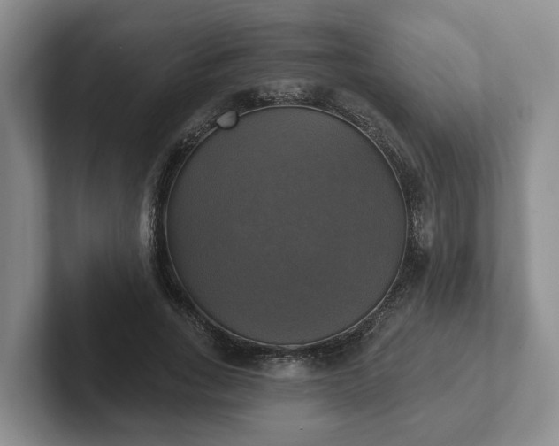 X0000102410735200808081324