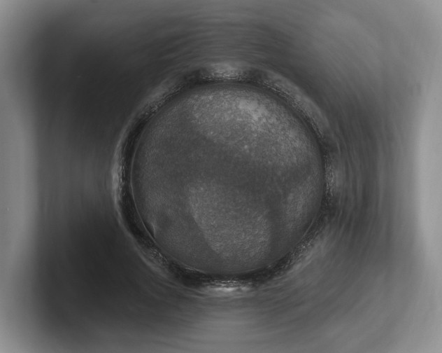 X0000102410736200808081324