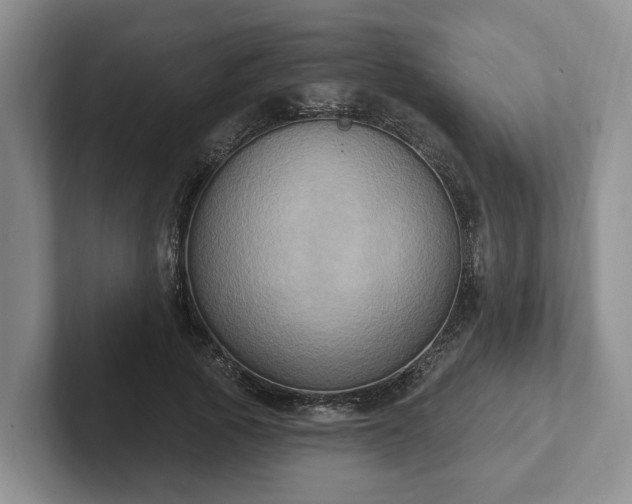 X0000102410737200808081324