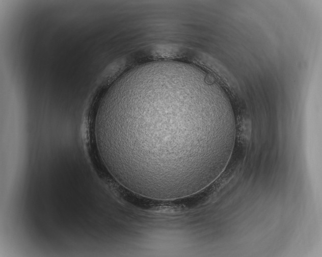 X0000102410738200808081324