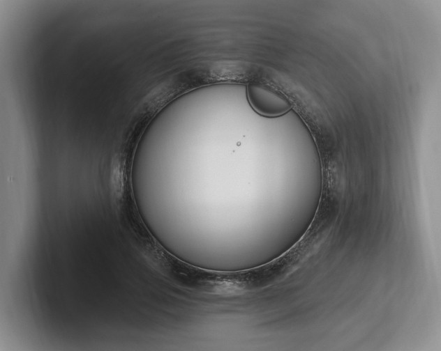 X0000102410741200808081324