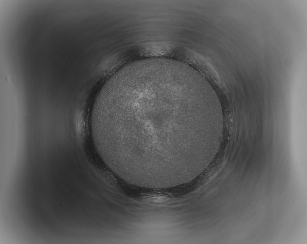 X0000102410743200808081324