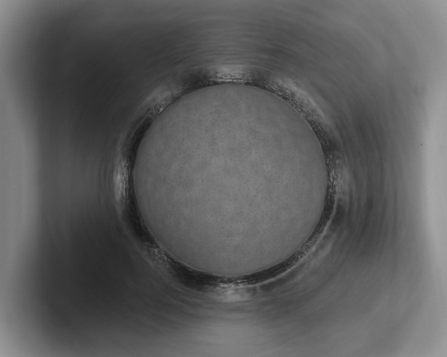 X0000102410744200808081324