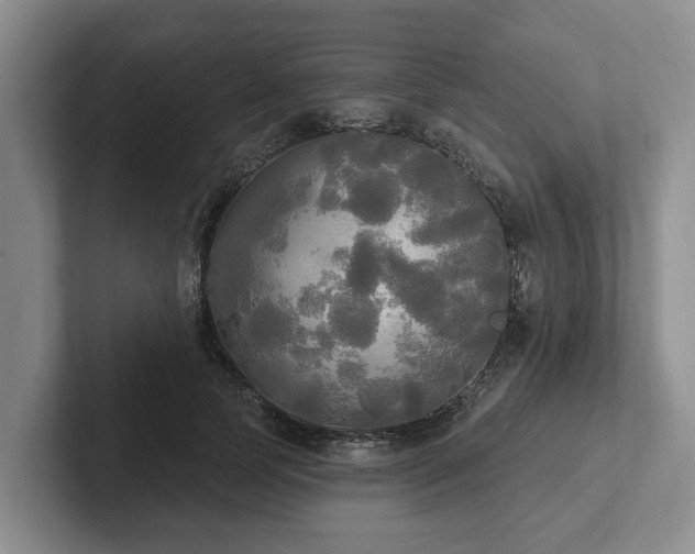 X0000102410745200808081324