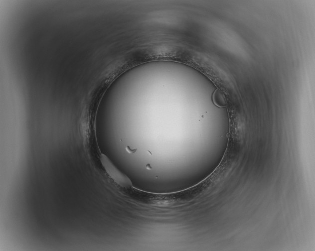 X0000102410746200808081324