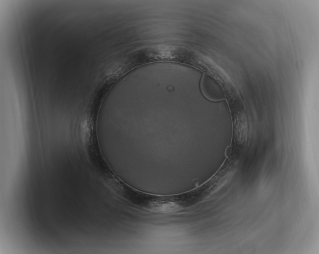 X0000102410747200808081324