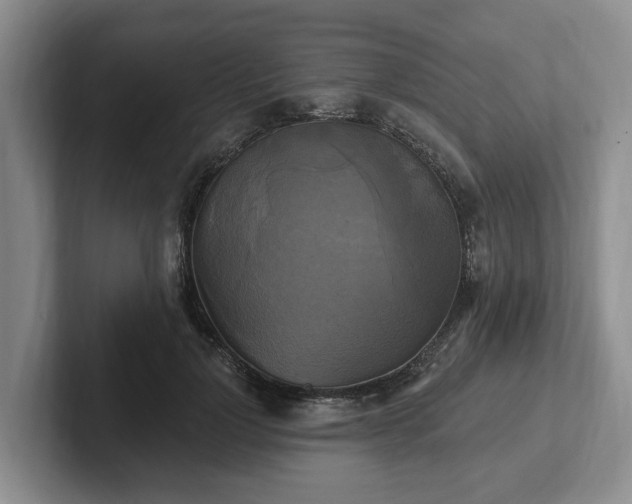 X0000102410748200808081324