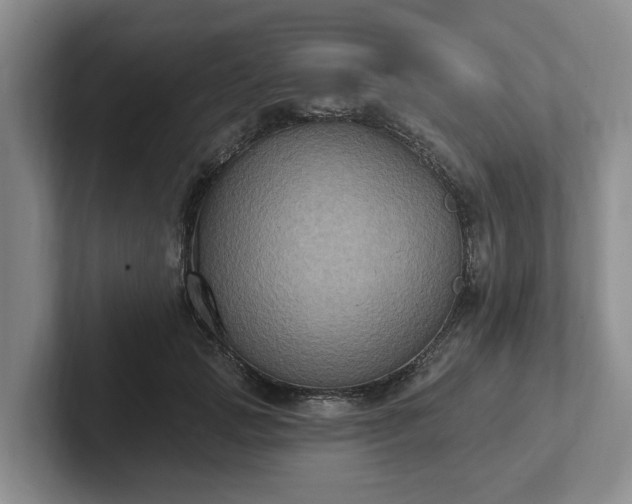 X0000102410749200808081324