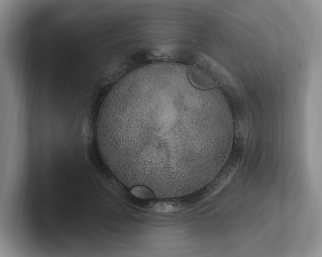 X0000102410751200808081324