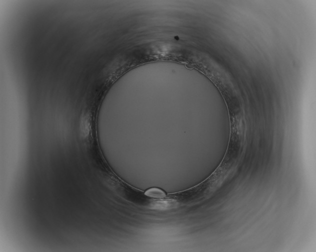 X0000102410754200808081324