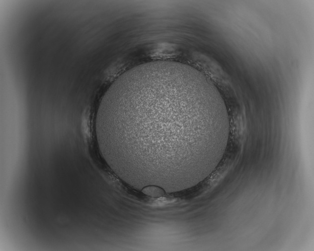 X0000102410755200808081324