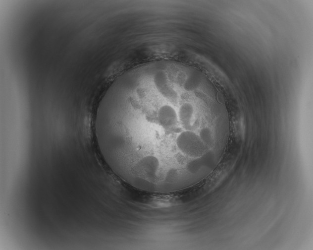 X0000102410757200808081324