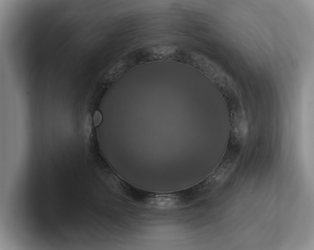 X0000102410758200808081324