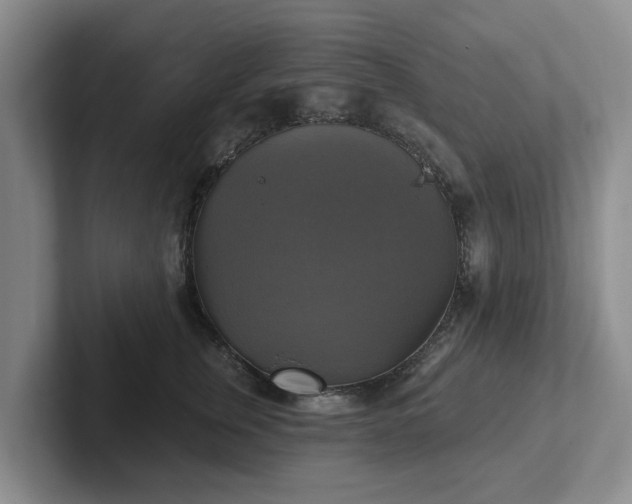 X0000102410759200808081324