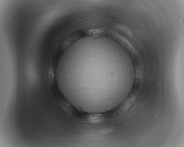 X0000102410761200808081324