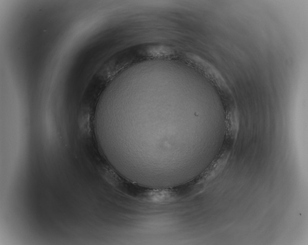 X0000102410762200808081324