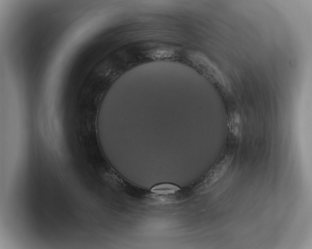 X0000102410763200808081324