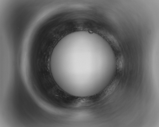 X0000102410764200808081324