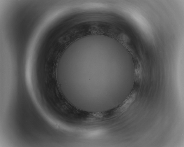 X0000102410765200808081324