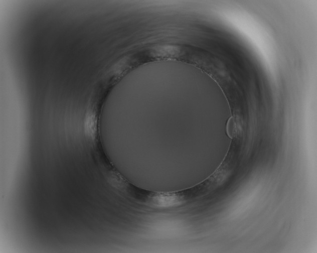 X0000102410767200808081324