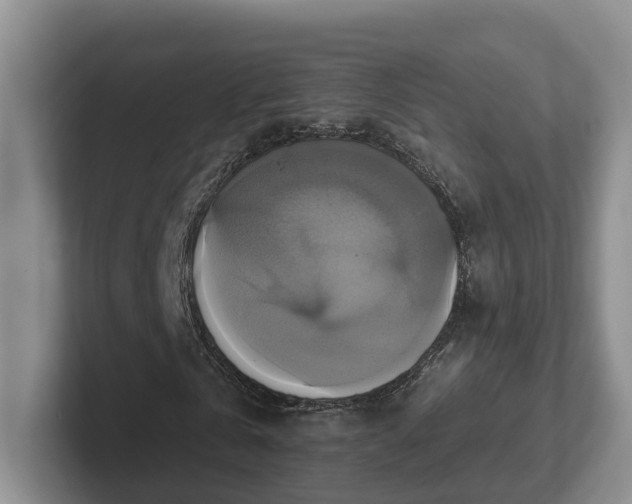 X0000102410769200808081324