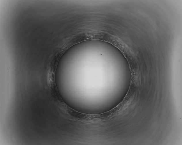 X0000102410770200808081324