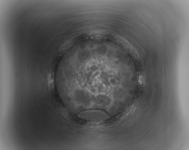 X0000102410771200808081324