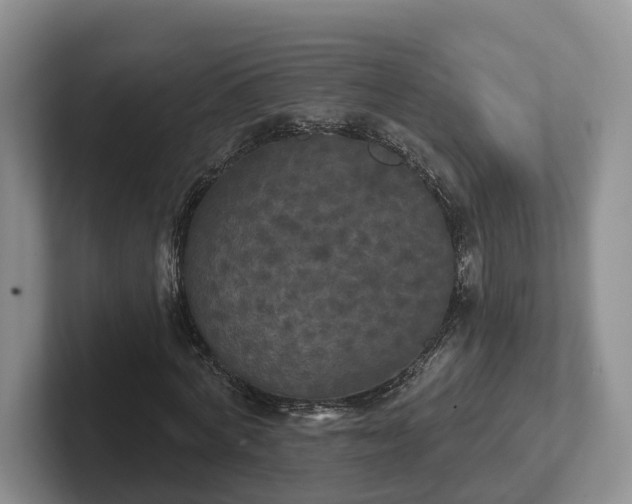 X0000102410772200808081324