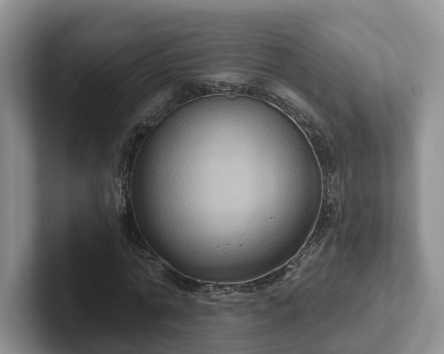 X0000102410774200808081324