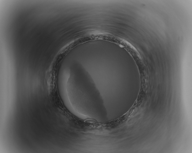 X0000102410775200808081324