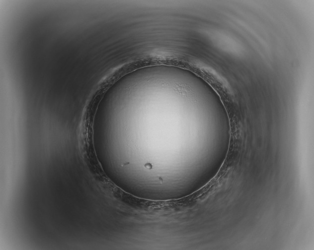 X0000102410776200808081324