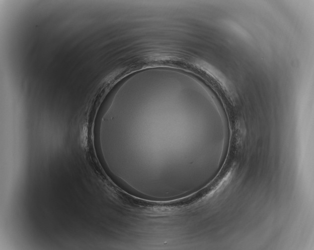 X0000102410777200808081324