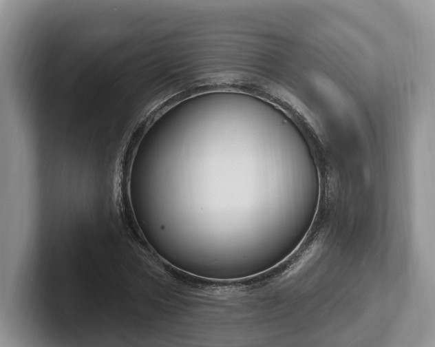 X0000102410778200808081323