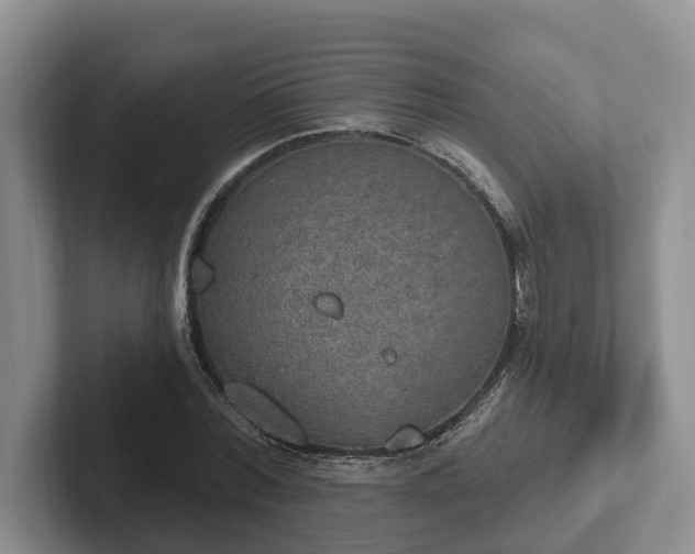 X0000102410780200808081323