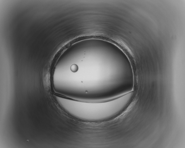 X0000102410781200808081323