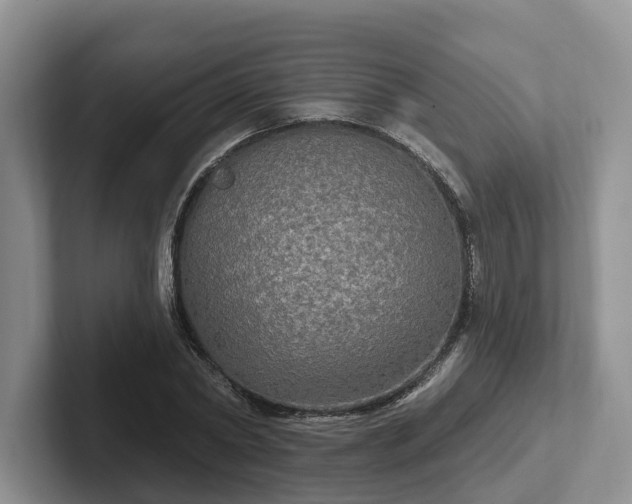 X0000102410782200808081323