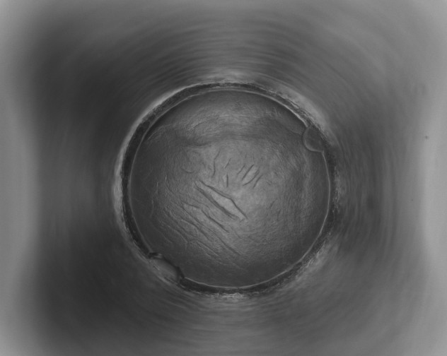 X0000102410784200808081323