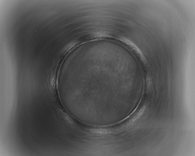 X0000102410785200808081323