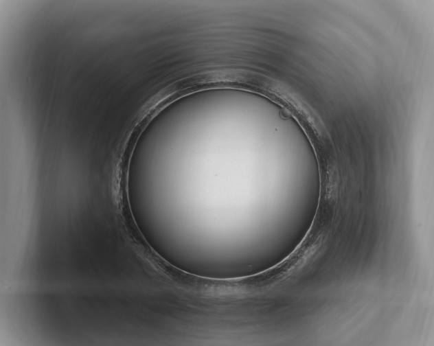 X0000102410786200808081323