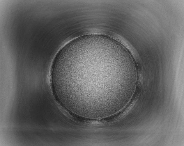 X0000102410787200808081323