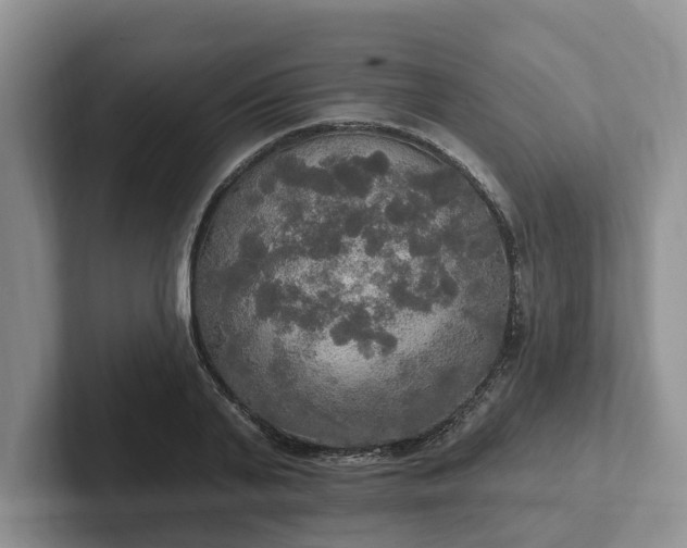 X0000102410791200808081323