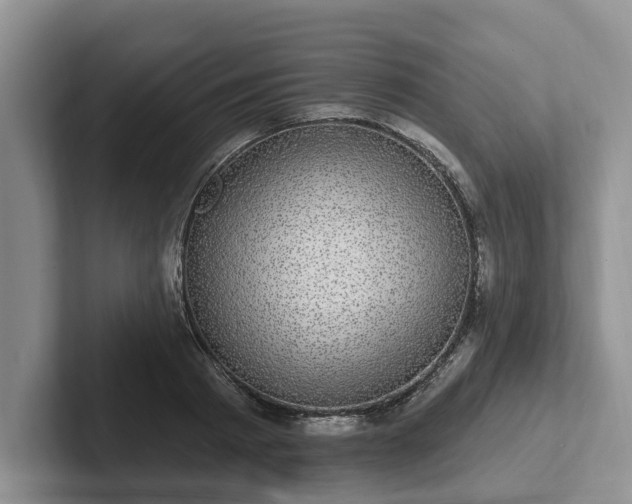 X0000102410793200808081323