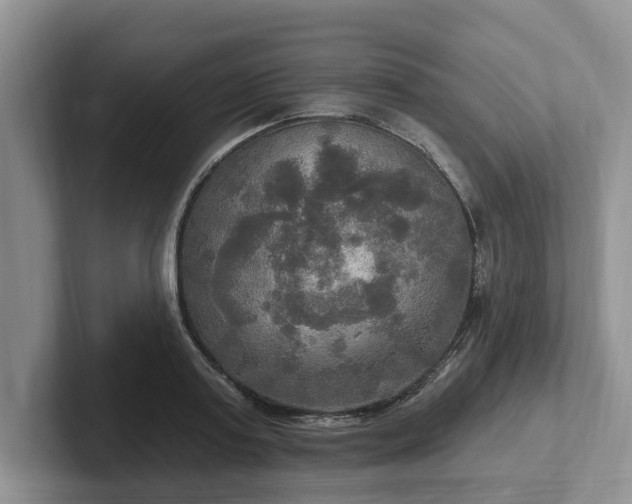 X0000102410795200808081323