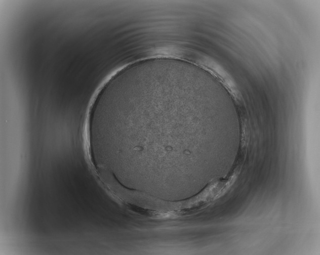 X0000102410796200808081323