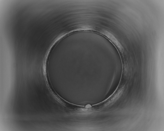 X0000102410797200808081323