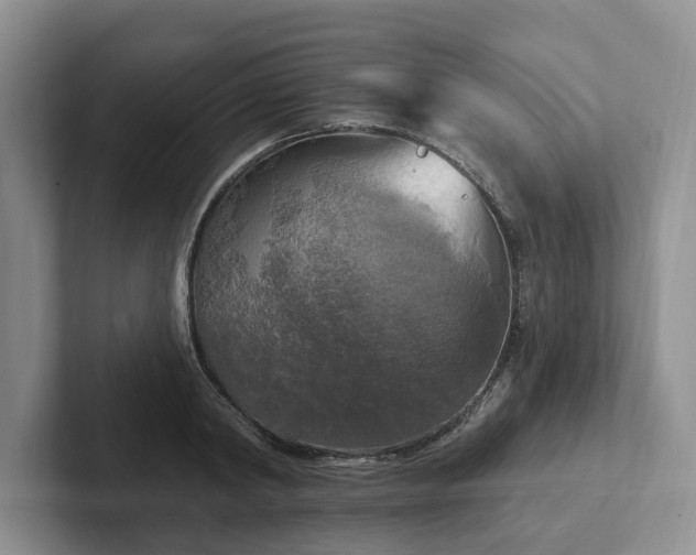 X0000102410798200808081323