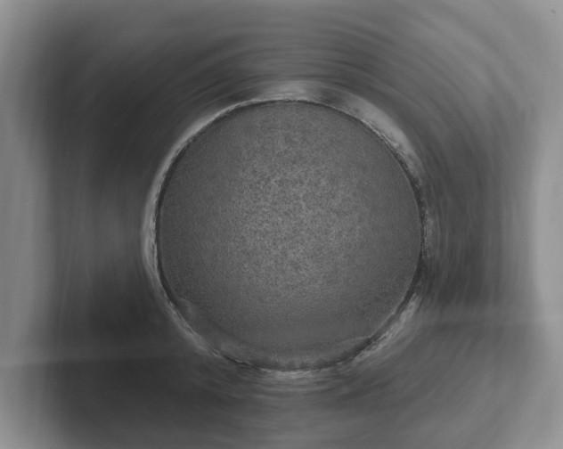 X0000102410800200808081323