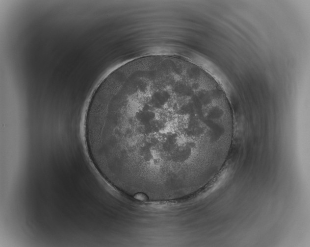 X0000102410803200808081323