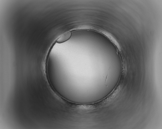 X0000102410805200808081323