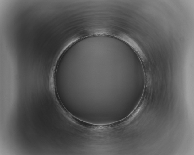 X0000102410806200808081323